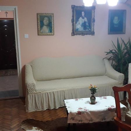 Cozy, Central 1-Bedroom Apartment In Timisoara, Romania المظهر الخارجي الصورة