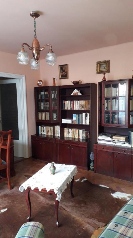 Cozy, Central 1-Bedroom Apartment In Timisoara, Romania المظهر الخارجي الصورة