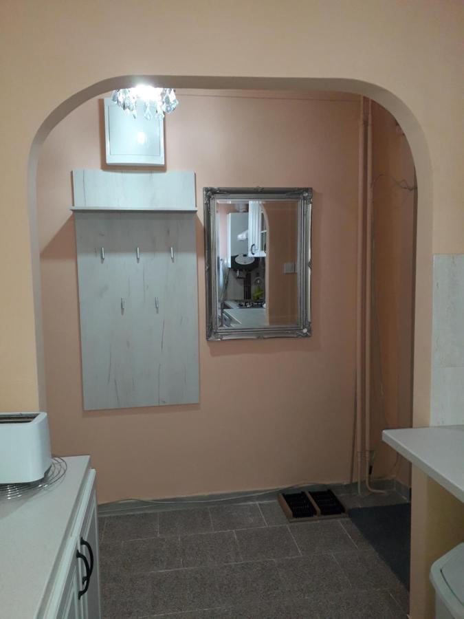 Cozy, Central 1-Bedroom Apartment In Timisoara, Romania المظهر الخارجي الصورة