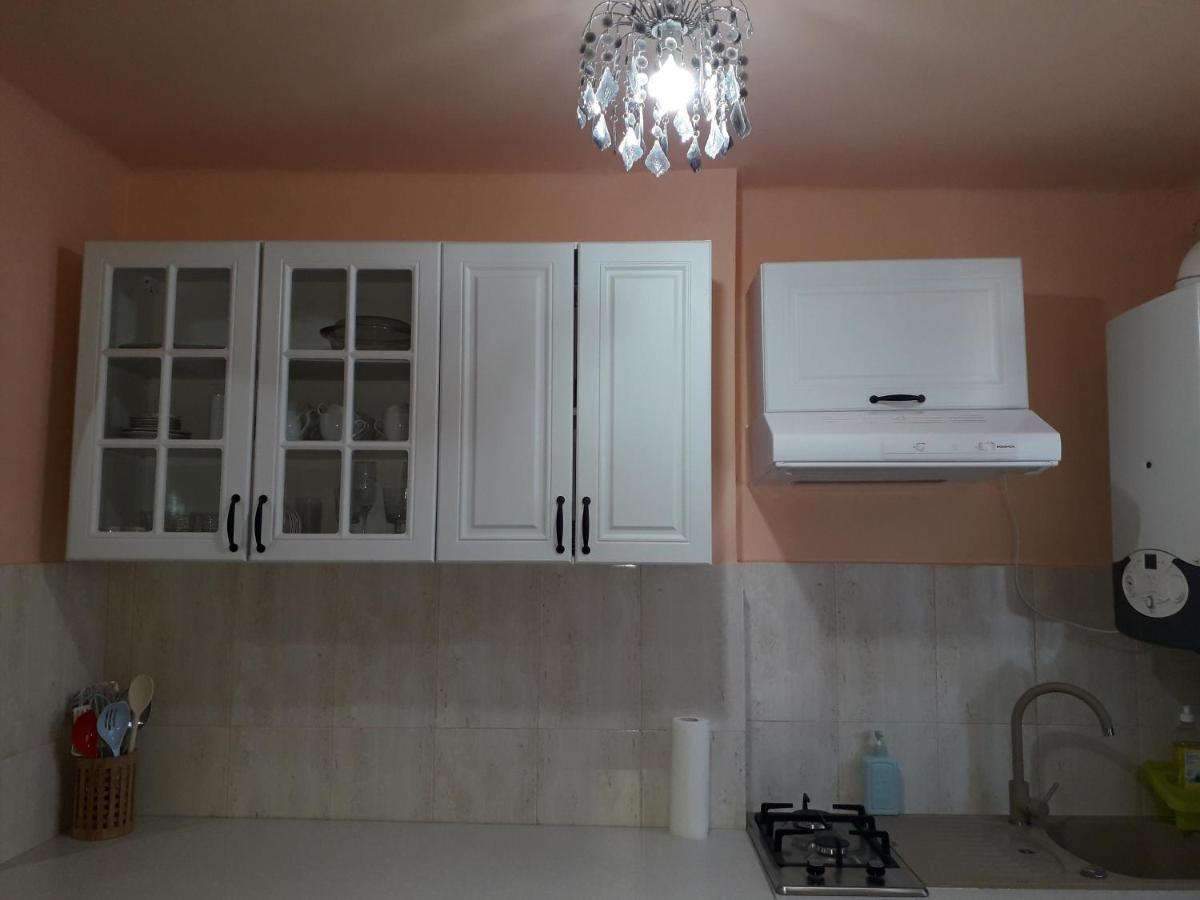 Cozy, Central 1-Bedroom Apartment In Timisoara, Romania المظهر الخارجي الصورة