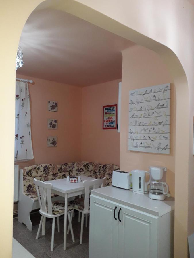 Cozy, Central 1-Bedroom Apartment In Timisoara, Romania المظهر الخارجي الصورة