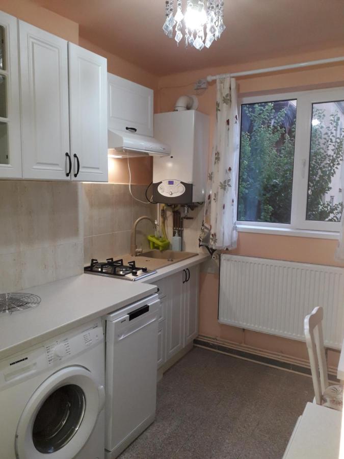 Cozy, Central 1-Bedroom Apartment In Timisoara, Romania المظهر الخارجي الصورة