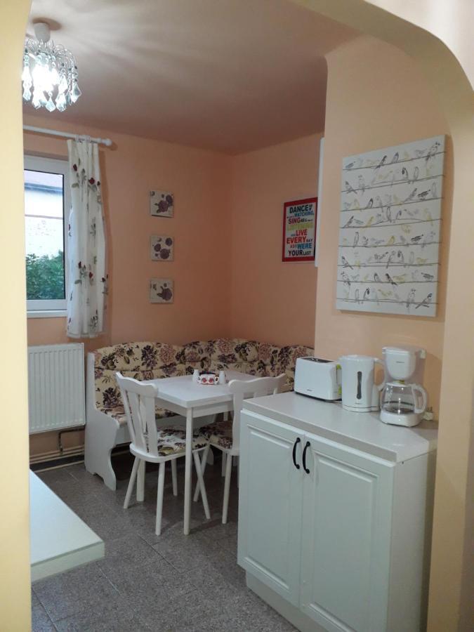 Cozy, Central 1-Bedroom Apartment In Timisoara, Romania المظهر الخارجي الصورة