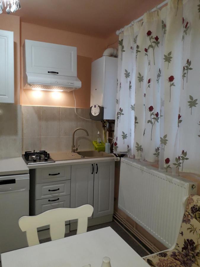 Cozy, Central 1-Bedroom Apartment In Timisoara, Romania المظهر الخارجي الصورة