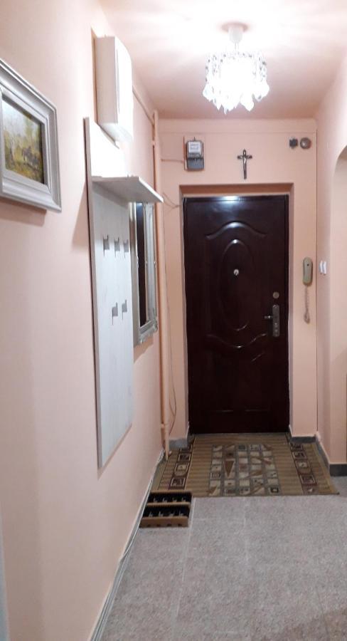 Cozy, Central 1-Bedroom Apartment In Timisoara, Romania المظهر الخارجي الصورة