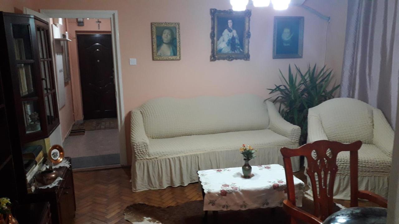 Cozy, Central 1-Bedroom Apartment In Timisoara, Romania المظهر الخارجي الصورة